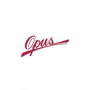 OPUS 202O MUDULO 3